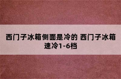 西门子冰箱侧面是冷的 西门子冰箱速冷1-6档